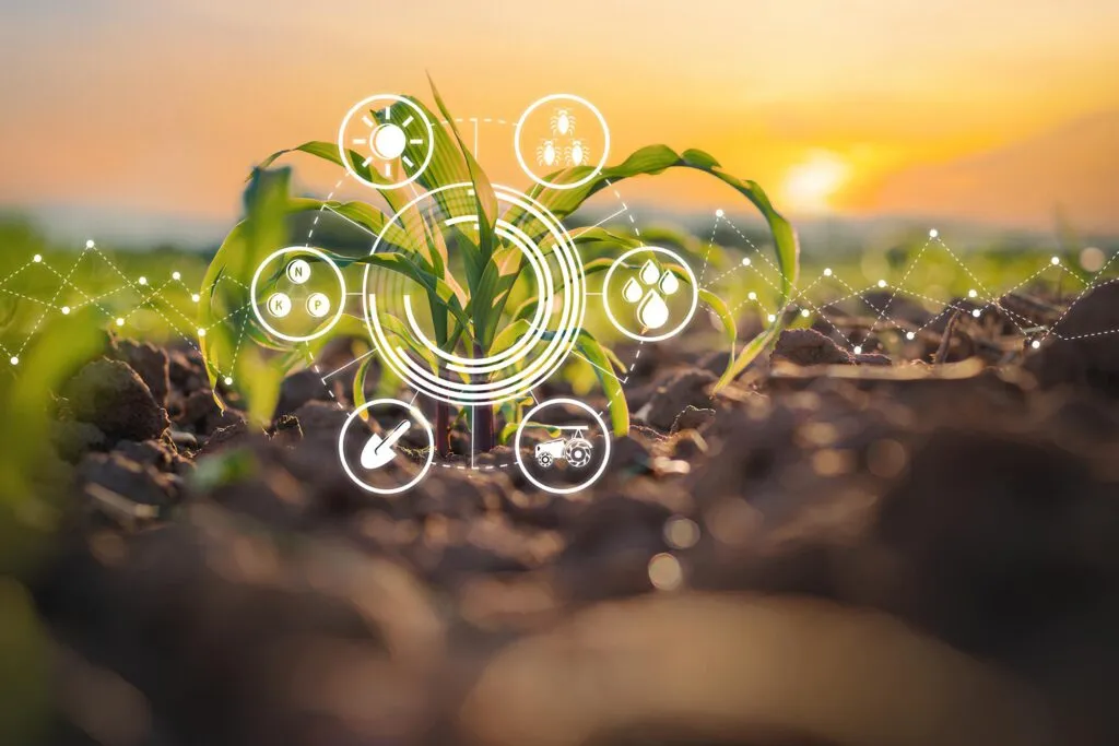 Smart Farming Maize